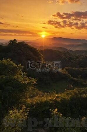 麻豆传媒全集-网络迷雾下的虚拟世界——麻豆传媒全集现象的剖析
