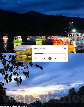 麻豆视频 app-走心细节，麻豆视频APP的微妙魅力