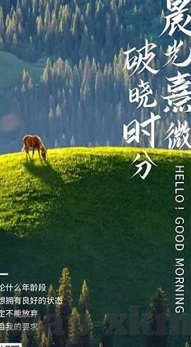 欧日韩av无码-欧日韩影视文化，多元视角下的艺术探索