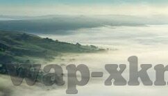 在线观看国产91在线传媒麻豆-警惕网络低俗内容，健康网络在使用中的关键避免点